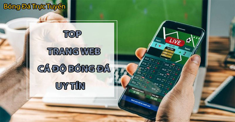 web cá độ bóng đá uy tín