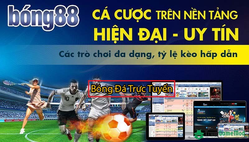 Các loại cá cược có tại bóng đá 88 com