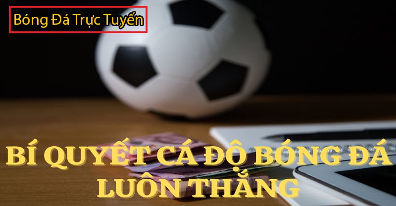 7 cach choi ca do bong da khong thua