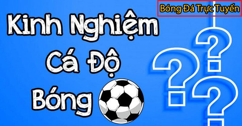 kinh nghiem choi ca cuoc bong da
