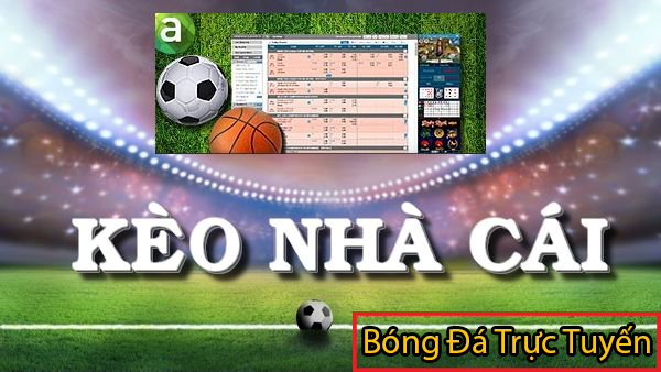 Trang nhà cái xem kèo bóng đá trực tuyến uy tín nhất 3 trang nhà cái xem kèo bóng đá trực tuyến bongdatructuyenvn