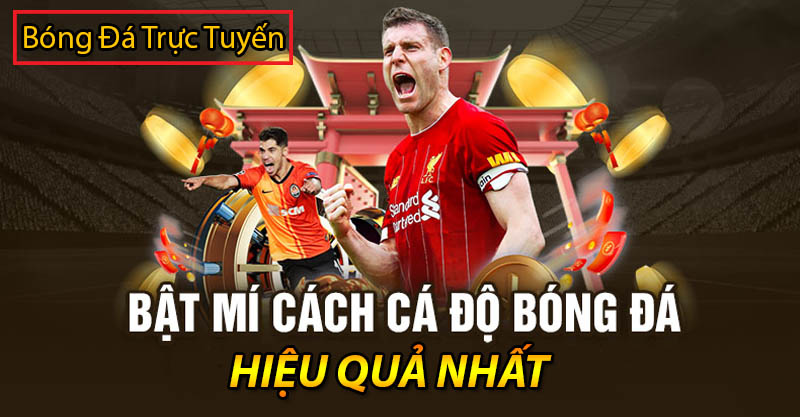 Hướng dẫn cách cá độ bóng đá không thua hiệu quả nhất 1 các cách cá độ bóng đá không thua - tài xỉu trong bóng đá