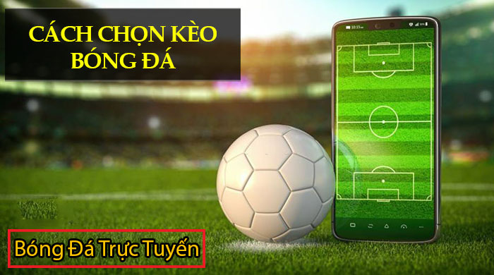 Hướng dẫn cách cá độ bóng đá không thua hiệu quả nhất 6 cách chọn kèo sáng trong cá độ bóng đá