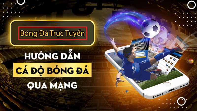 Hướng dẫn cách cá độ bóng đá không thua hiệu quả nhất 12 Hướng dẫn cá độ bóng đá qua mạng
