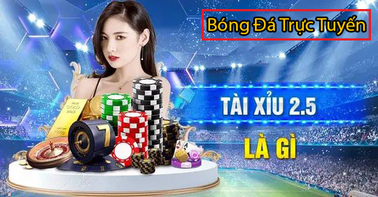 Hướng dẫn cách cá độ bóng đá không thua hiệu quả nhất 10 kèo tài xỉu trong bóng đá 2.5