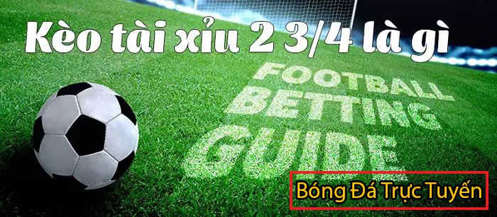 Hướng dẫn cách cá độ bóng đá không thua hiệu quả nhất 11 kèo tài xỉu trong bóng đá 2.75