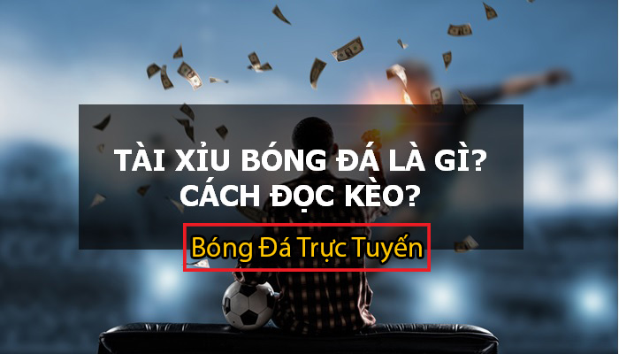 Hướng dẫn cách cá độ bóng đá không thua hiệu quả nhất 7 tài xỉu trong bóng đá là gì